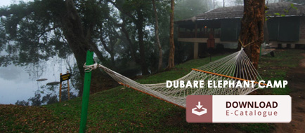 Dubare Elephant Camp Brochure